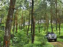 My beautiful country...