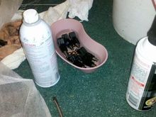 6 new-to-me Bosch 0280155703's soaking in Sea Foam.