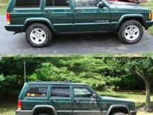 evolution