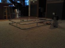 got my lil helper