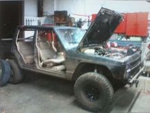 The Woody