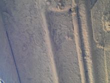 IMAG0263