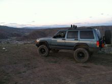 The beast