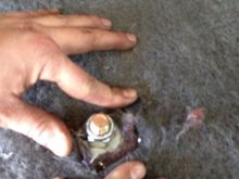 Fixing the rear shocks