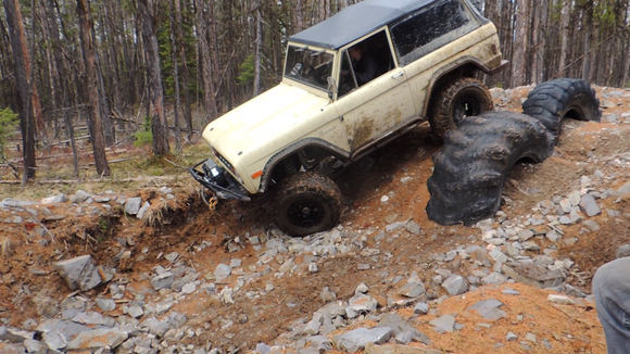 Wild Bill- 3/21/15