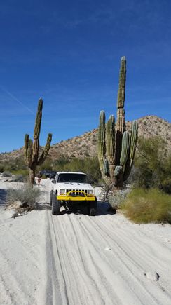 Too much snow on this thread, lately!