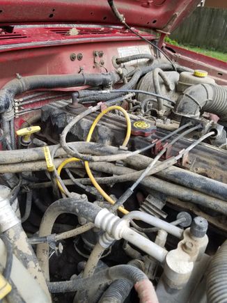 Cleaned up the wire mess. Had to use a V8 ZJ wire temporarily
