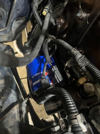 These two don’t seem to have a home