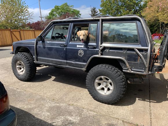 I think Daisy approves!