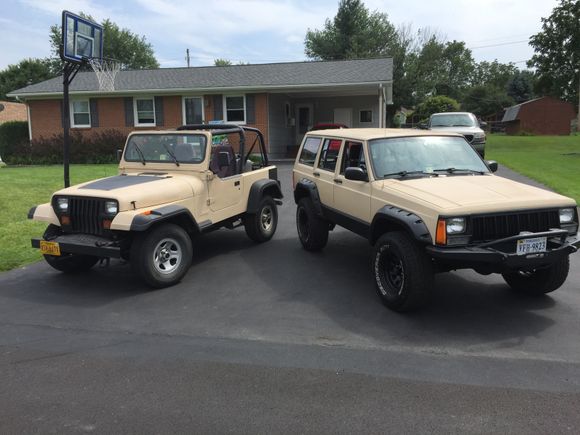 Twins