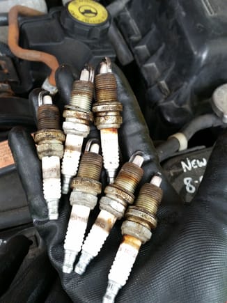 Idk how many you should change spark plugs, but these were way overdue.