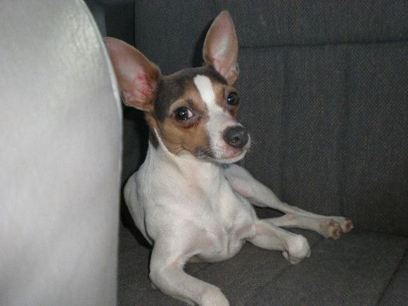 Picture 030