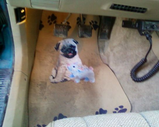 the pug floormats were included......lol and ya gotta love the cb radio