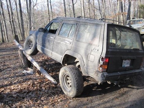 Flex broken taillight (tree just wouldn'd move darnit!!)