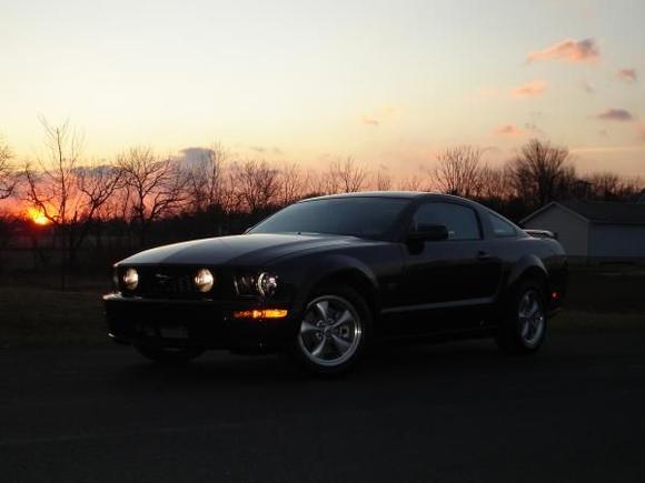 The Daily Driver!!! 08 Mustang GT. 
Many mods coming $ permitting