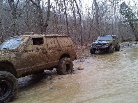 Dirty turtle .com