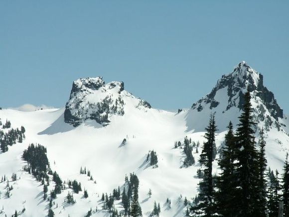 Paradise Mount Rainier National Park