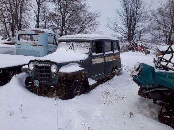 Junk yard, beautiful willys