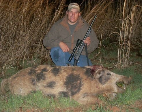 range boar taken with custom 308.