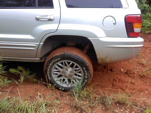stock flex1