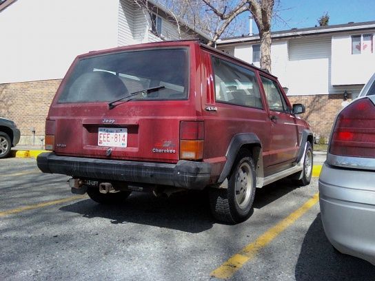 Rear