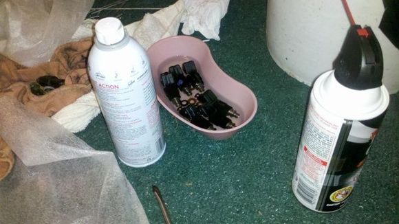 6 new-to-me Bosch 0280155703's soaking in Sea Foam.