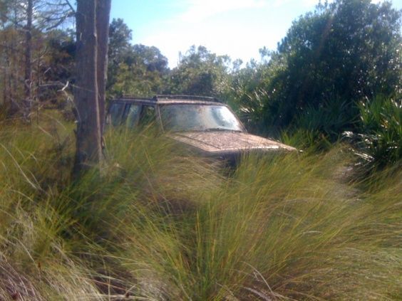 Back of the Property
