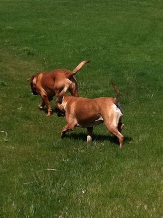Picture 026