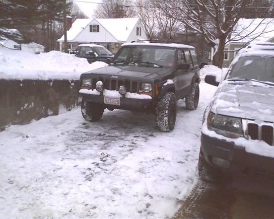 trimmed bumper