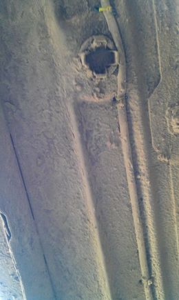IMAG0263