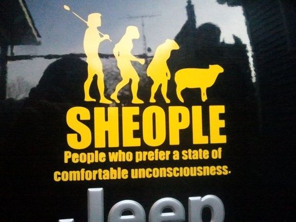 Sheople1