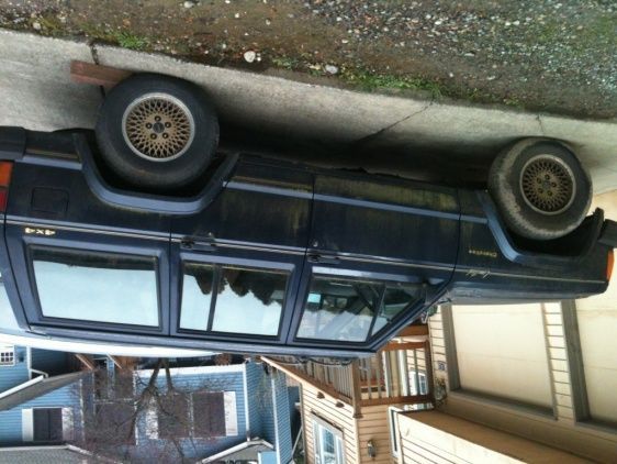 Moldy &amp; upside down! Won't load right side up, maybe all the pine needles will fall off!