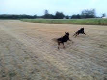 RunBabyRun