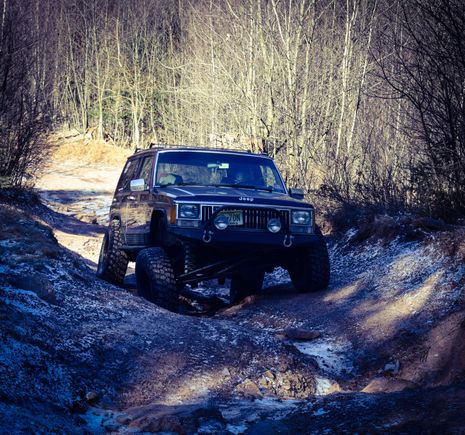 flex nation