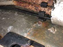 The BlackSwan’s at front of the insulation wrapping