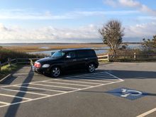 The BlackSwan sitting over looking the salt pond .
Waiting to roll down the road , as we head home.