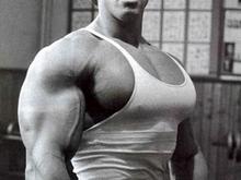 Their  my pecs ! I just pumped them up!!! Stop looking! I’m shy!