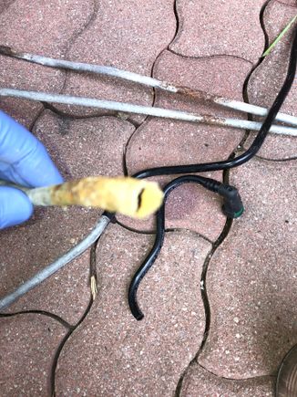 This was the fuel line just as rusted but not fully through just a pin hole , noted the drip on Saturday night.