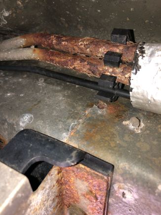 The BlackSwan’s at front of the insulation wrapping