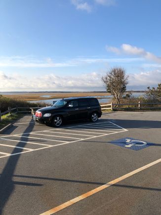 The BlackSwan sitting over looking the salt pond .
Waiting to roll down the road , as we head home.