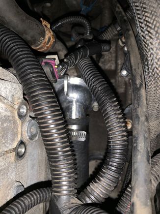 The 2007 housing from Dorman, no cap to crack and leak. 