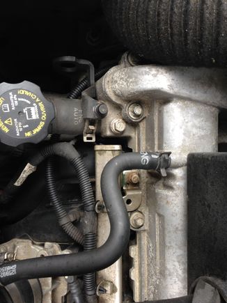 This is the factory PCV hose, straight out of the valve cover, no PVC valve
