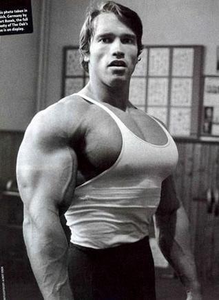 Their  my pecs ! I just pumped them up!!! Stop looking! I’m shy!