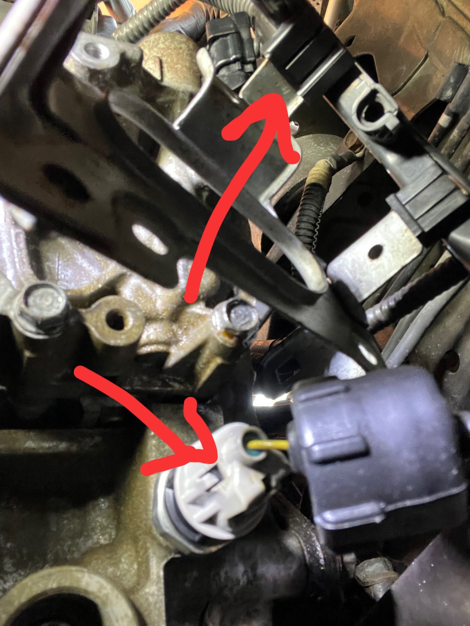 How to remove these clips on the oil sensor and the wire harness hold down 