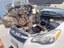 Who needs rod bearings?