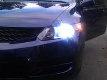 35W 10K HID's