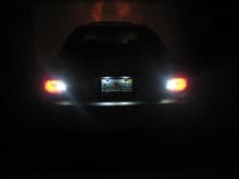 LED plate Lights and Reverse Lights