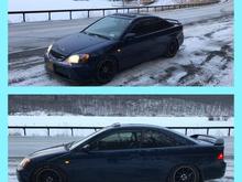 latest picture in the snow