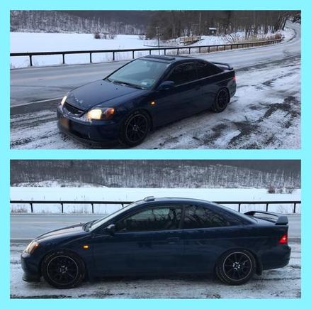 latest picture in the snow