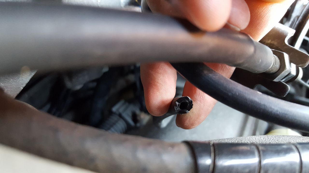 I found bite through vacuum line. Previous owner mentioned about problems with rodent, it seems that some lines are replaced, but one final left.